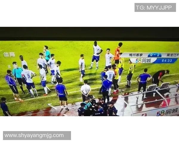 东京FC主场迎战大宫松鼠谁能在这场较量中笑到最后