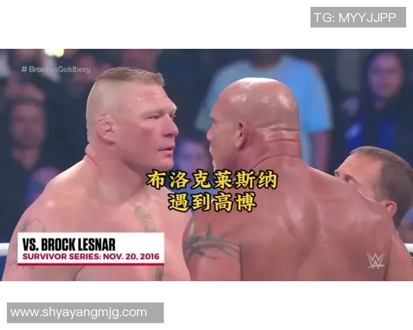 高博与莱斯纳2017年巅峰对决回顾与精彩瞬间分析