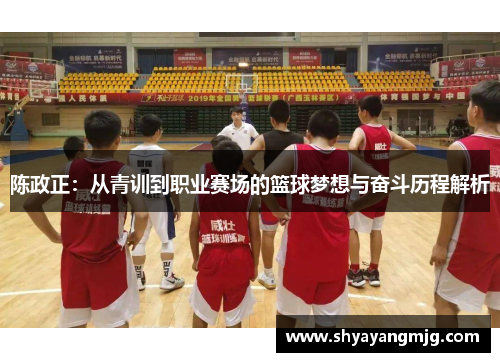 陈政正：从青训到职业赛场的篮球梦想与奋斗历程解析
