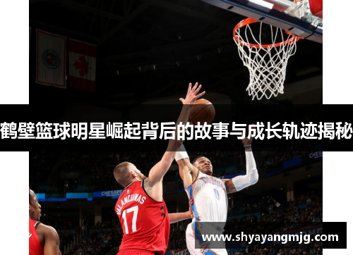 鹤壁篮球明星崛起背后的故事与成长轨迹揭秘