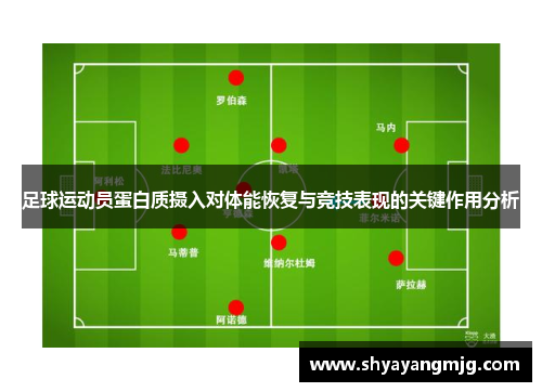 足球运动员蛋白质摄入对体能恢复与竞技表现的关键作用分析