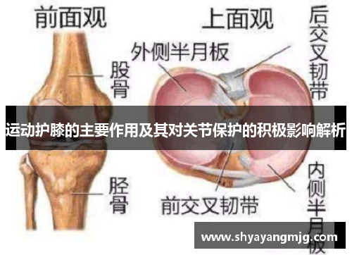 运动护膝的主要作用及其对关节保护的积极影响解析