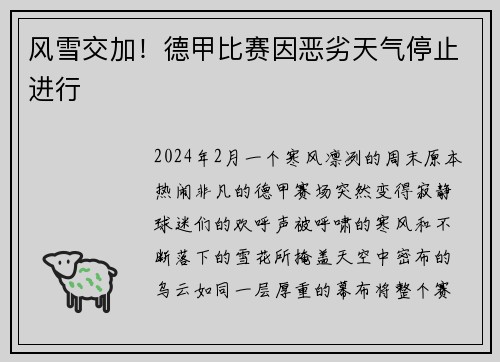 风雪交加！德甲比赛因恶劣天气停止进行
